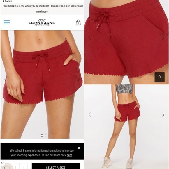 NWOT Lorna Jane Shorts- Breeze Lightweight Run Shorts-Size M - Picture 1 of 3